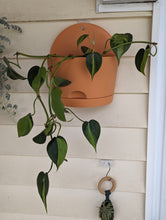 Load image into Gallery viewer, Wall Hanging Planter with Heartleaf Philodendron Plant