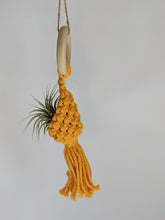 Cargar imagen en el visor de la galería, Macrame Air Plant Hanging Pod Display with Air Plant