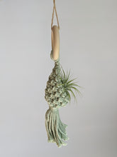 Cargar imagen en el visor de la galería, Macrame Air Plant Hanging Pod Display with Air Plant