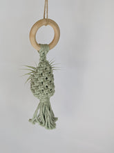 Cargar imagen en el visor de la galería, Macrame Air Plant Hanging Pod Display with Air Plant