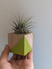 Load image into Gallery viewer, Air Plant Holder Cube- Modern- Color Block Available in 2 Colors