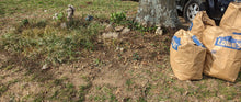 Load image into Gallery viewer, 4 yard waste bags full of leaves removed from garden.