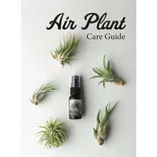 Cargar imagen en el visor de la galería, Macrame Air Plant Hanging Pod Display with Air Plant