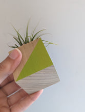 Load image into Gallery viewer, Wooden block painted with bright green triangle shown in hand. Holds a small air plant.