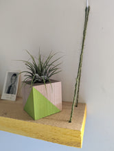 Load image into Gallery viewer, Air plant mini planter cube shown on wooden wall shelf. the bright green, hand painted part of the cube is emphasized.