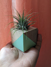 Load image into Gallery viewer, Air Plant Holder Cube- Modern- Color Block Available in 2 Colors