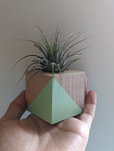 Load image into Gallery viewer, Air Plant Holder Cube- Modern- Color Block Available in 2 Colors