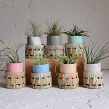 Load image into Gallery viewer, Small Blue Air Plant Pot with Air Plant