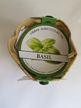 Load image into Gallery viewer, Basil herb grow kit, organic shown here includes a bag of soil and organic seeds to be grown right in the little bag shown. Great for small spaces or a window sill.