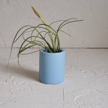 Load image into Gallery viewer, Small Blue Air Plant Pot with Air Plant