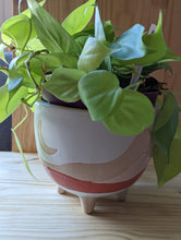 Cargar imagen en el visor de la galería, Desertscape planter, 6 inch, footed, ceramic with white glaze over tan ceramic, and red desertscape lines shown with trailing plant in planter.