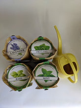 Cargar imagen en el visor de la galería, Oregano Herb Kit -  Organic - Grows in the Bag