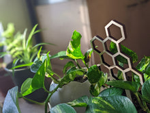 Cargar imagen en el visor de la galería, Honeycomb Small Plant Trellis 7.5” Tall