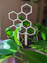 Cargar imagen en el visor de la galería, Honeycomb Small Plant Trellis 7.5” Tall