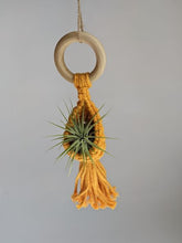 Cargar imagen en el visor de la galería, Macrame Air Plant Hanging Pod Display with Air Plant