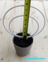 Cargar imagen en el visor de la galería, Medium sized white acrylic double hoop trellis in 4 inch pot shown with tape measure for scale. Outer circle is about 7.5 inches and the height with spikes in the dirt is about 8 inches.