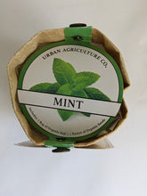 Load image into Gallery viewer, Mint herb grow kit in a bag shown from the top. Contains soil and seeds to get started.