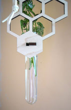 Cargar imagen en el visor de la galería, Hanging Propagation Station - Honeycomb Pattern with Single Test Tube