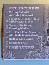 Cargar imagen en el visor de la galería, Terrarium Starter Kit - Just Add Plant and Container