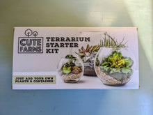 Cargar imagen en el visor de la galería, Terrarium Starter Kit - Just Add Plant and Container