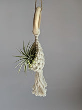 Cargar imagen en el visor de la galería, Macrame Air Plant Hanging Pod Display with Air Plant