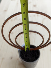 Cargar imagen en el visor de la galería, Wooden Triple Hoop Trellis - Endless Loop - Circle Trellis- Available in 2 Sizes