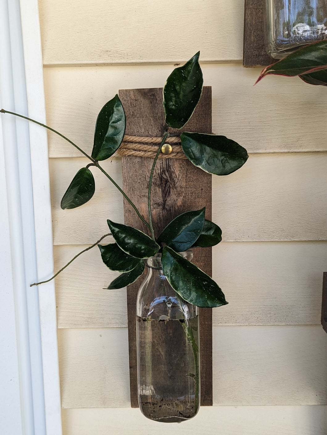 Handmade Propagation Station from Reclaimed Barnwood and Milk Bottle