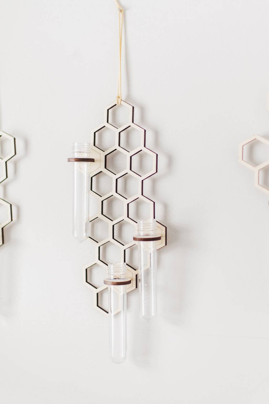 Hanging Propagation Station - Honeycomb Pattern with 3 Test Tubes