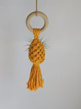 Cargar imagen en el visor de la galería, Macrame Air Plant Hanging Pod Display with Air Plant
