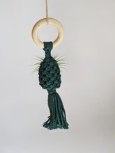 Cargar imagen en el visor de la galería, Macrame Air Plant Hanging Pod Display with Air Plant
