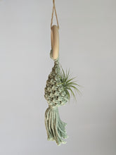 Load image into Gallery viewer, Macrame Air Plant Hanging Pod Display with Air Plant

