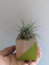 Load image into Gallery viewer, A small air plant sits in a mini planter that is made from a 2 inch wood cube and painted with bright green triangle across the front of cube 
