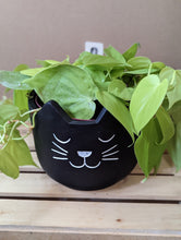 Cargar imagen en el visor de la galería, Cute Cat Black Plant Pot 7 inch
