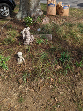 Load image into Gallery viewer, After garden clean up, leaves are gone and 4 yard waste  bags are shown full. Plants and statues are visible in small garden now. 
