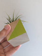 Load image into Gallery viewer, Wooden block painted with bright green triangle shown in hand. Holds a small air plant. 
