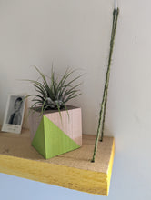 Load image into Gallery viewer, Air plant mini planter cube shown on wooden wall shelf. the bright green, hand painted part of the cube is emphasized. 
