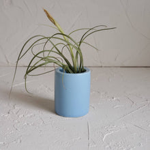 Load image into Gallery viewer, Small Blue Air Plant Pot with Air Plant
