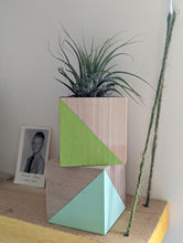 Load image into Gallery viewer, Air Plant Holder Cube- Modern- Color Block Available in 2 Colors
