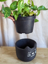 Cargar imagen en el visor de la galería, Cute Cat Black Plant Pot 7 inch
