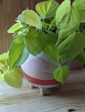 Cargar imagen en el visor de la galería, 6 inch footed ceramic planter with white, pink, tan, and red orange wavy lines that represent a desertscape. Planter holds a trailing plant. 
