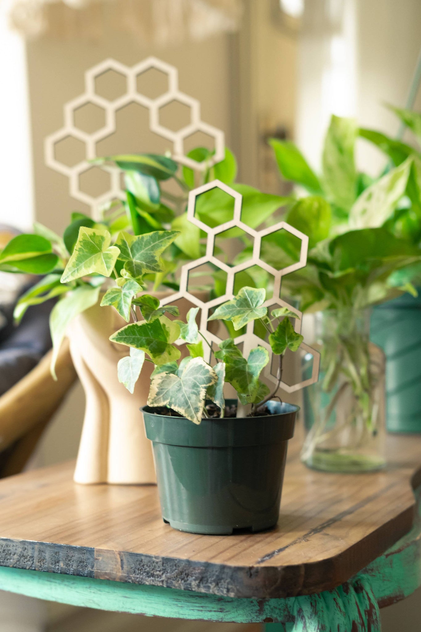 house plant trellis Honeycomb Small Plant Trellis 7.5” Tall – White Whale Plants & Decor