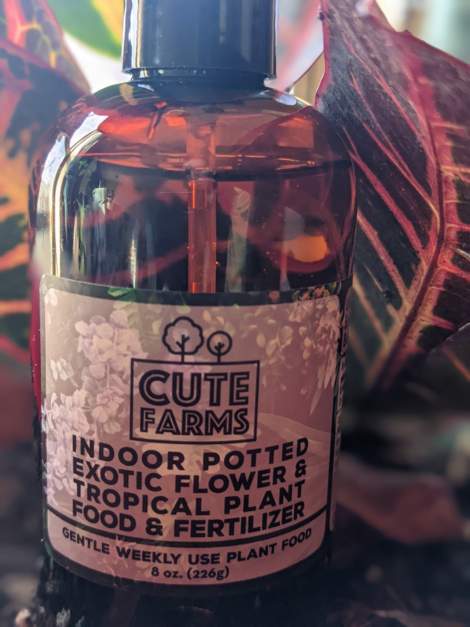 fertilizer for indoor tropical plants Exotic Flower and Tropical Plant Indoor Potted Plant Fertilizer Spray – White Whale Plants & Decor