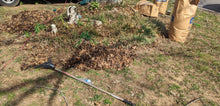 Load image into Gallery viewer, During clean up of garden, leaves cover some of the plants sprouting up still, 3 yard waste bags are shown full, and garden tools strewn about during the work.
