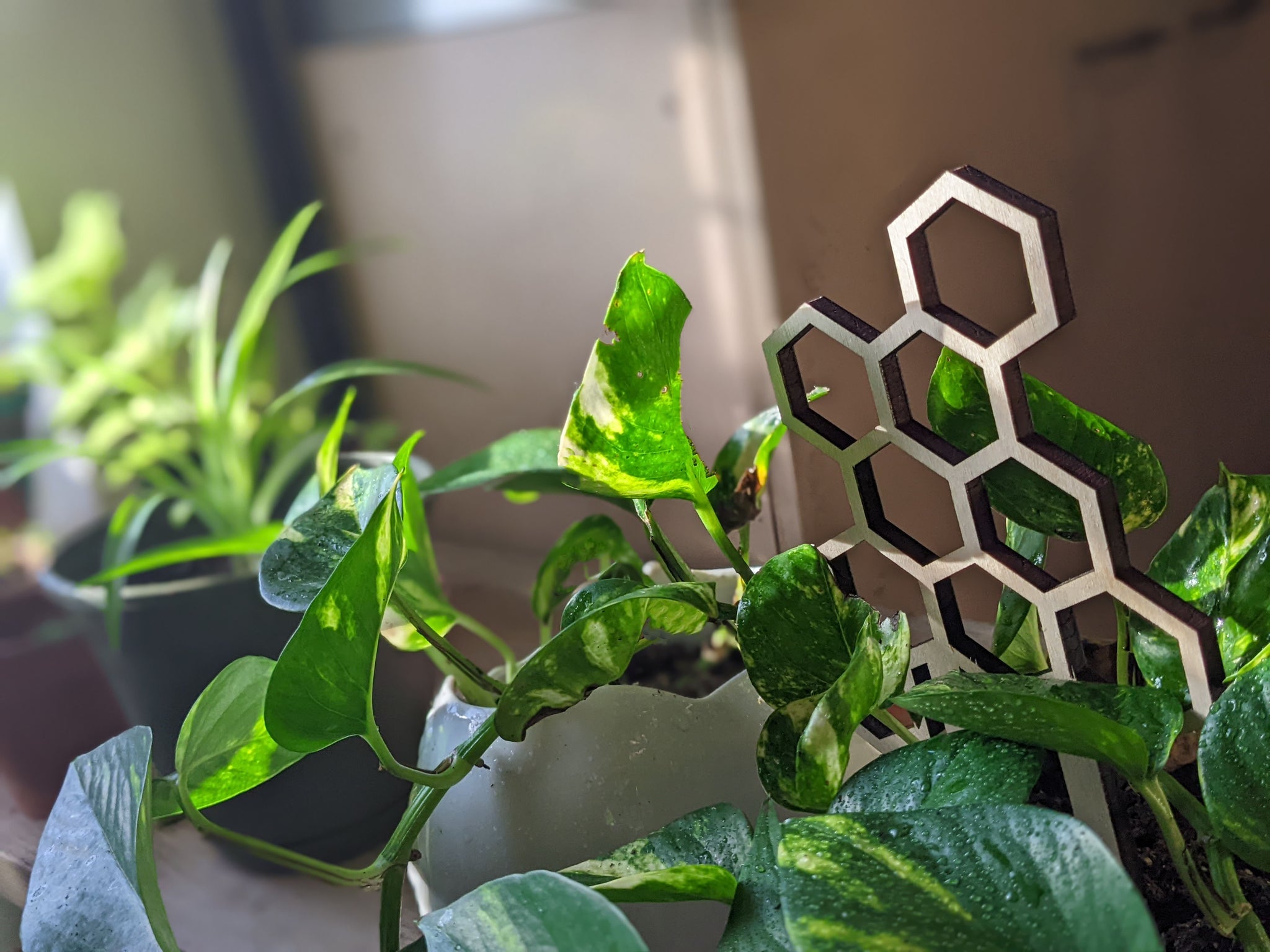 small indoor plant trellis Honeycomb Small Plant Trellis 7.5” Tall – White Whale Plants & Decor