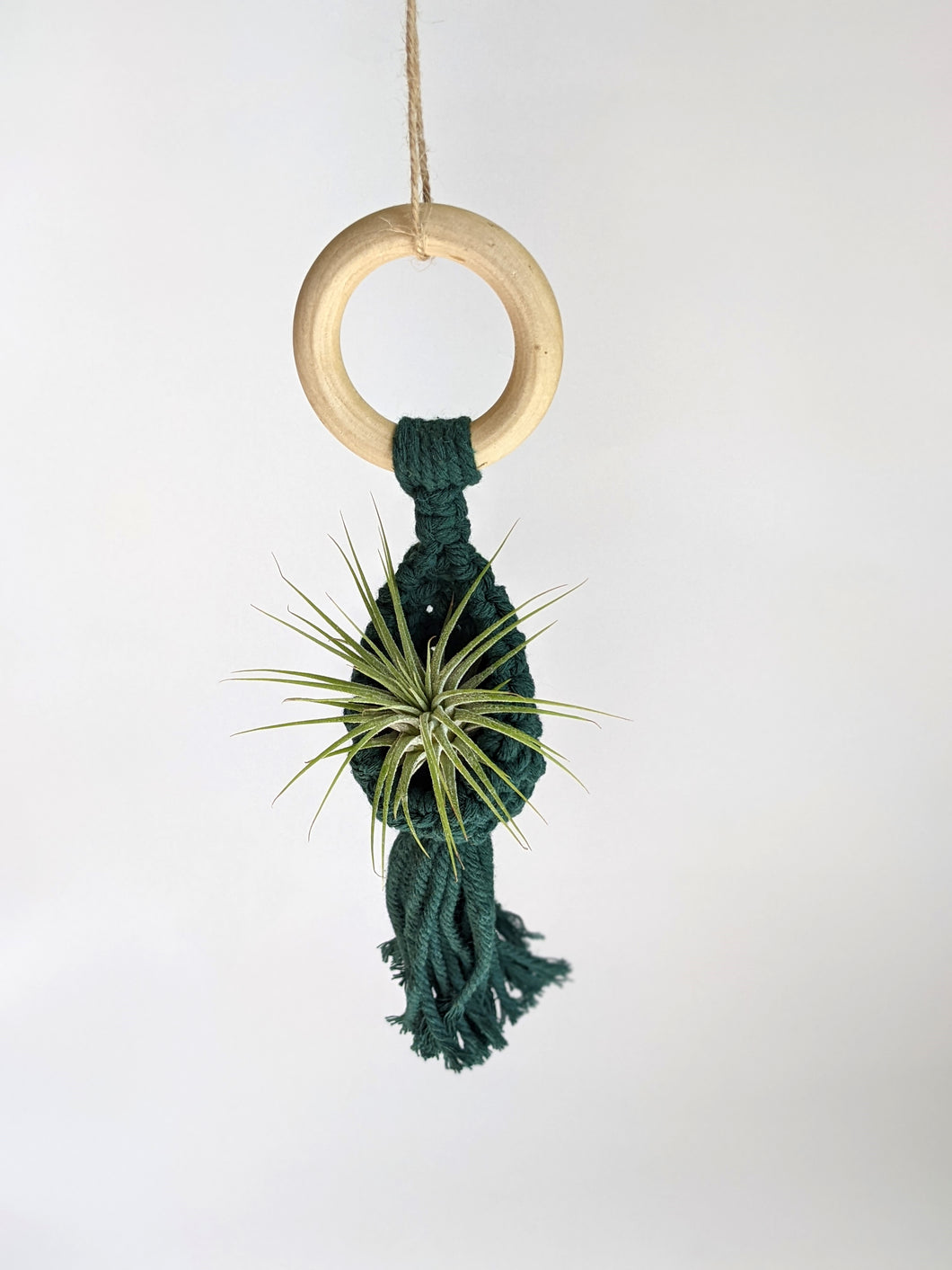 Macrame Air Plant Hanging Pod Display with Air Plant