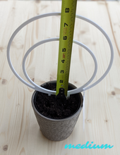 Cargar imagen en el visor de la galería, Medium sized white acrylic double hoop trellis in 4 inch pot shown with tape measure for scale. Outer circle is about 7.5 inches and the height with spikes in the dirt is about 8 inches.
