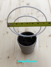 Load image into Gallery viewer, Medium sized white double hoop trellis shown in 4 inch pot for scale. Tape measure shows width of outer circle of hoop at 7.5 inches.
