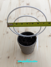 Cargar imagen en el visor de la galería, Medium sized white double hoop trellis shown in 4 inch pot for scale. Tape measure shows width of outer circle of hoop at 7.5 inches.
