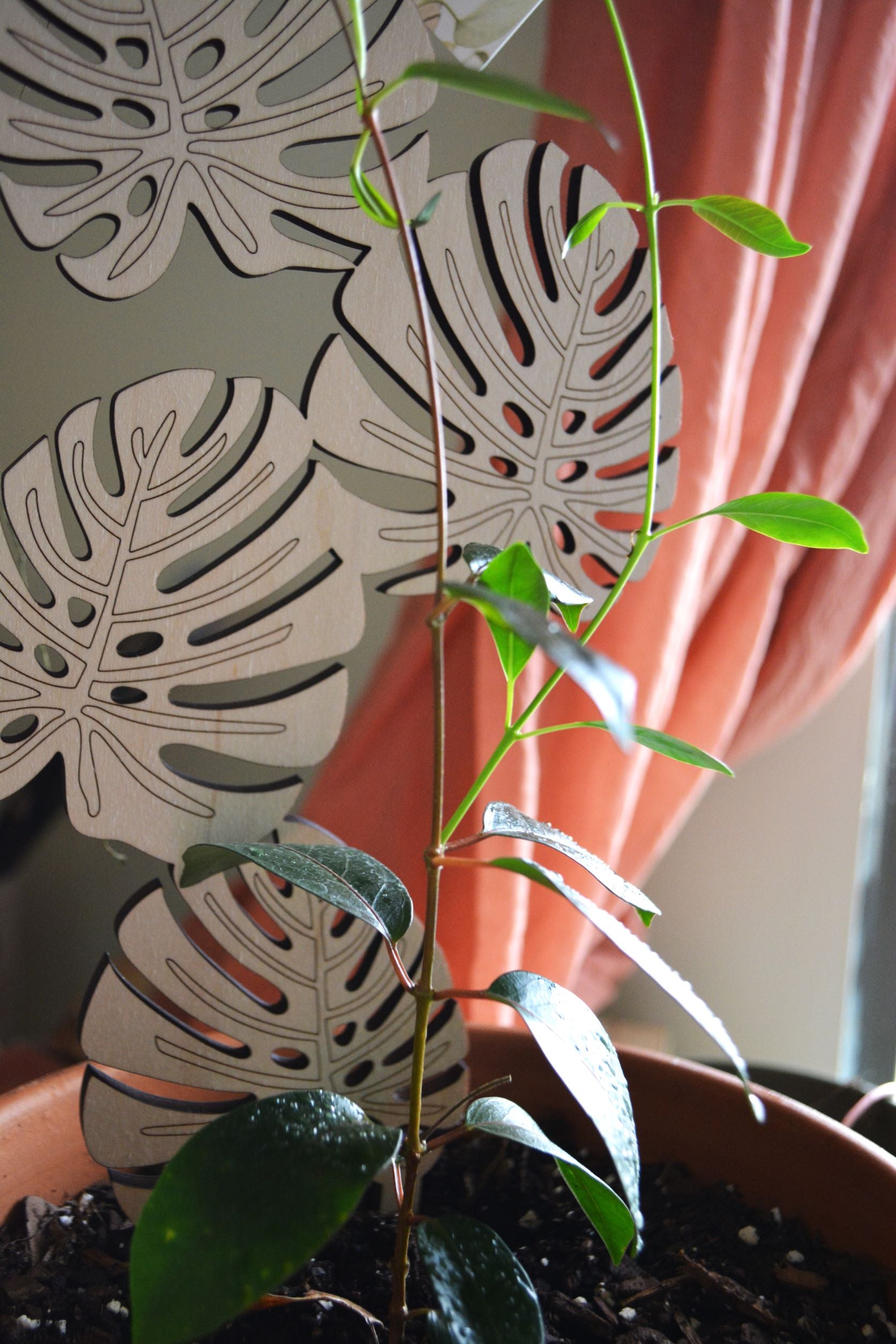 Plant Pot Trellis Wooden Monstera Leaves 18