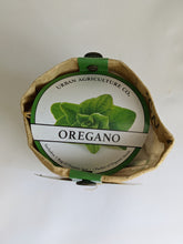 Cargar imagen en el visor de la galería, Oregano Herb Kit -  Organic - Grows in the Bag
